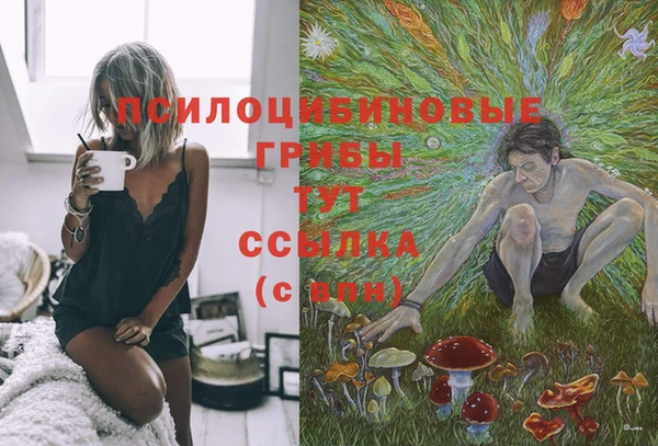 СК Вяземский