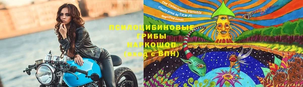 СК Вяземский